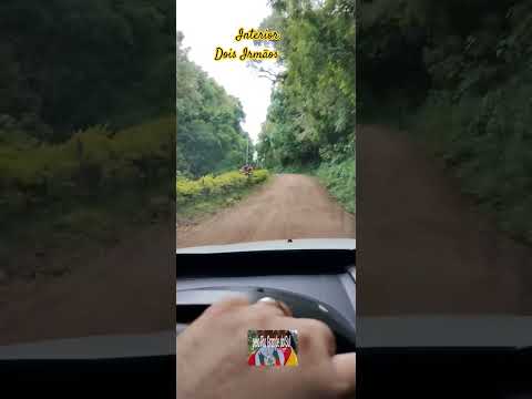 #riograndedosul #doisirmaos #vidanocampo #naturezasurpreendente #serra