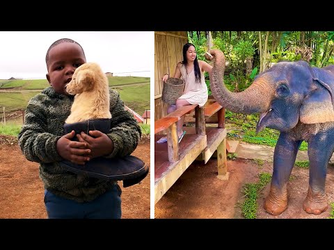 #5 Die besten Videos 2025 || ✪ Stern DuTube