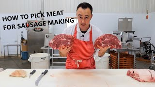 HOW TO PICK MEAT FOR SAUSAGE, What type of meat to pick for sausage making