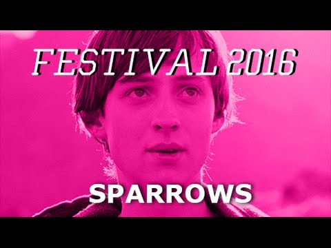Sparrows (Trailer)