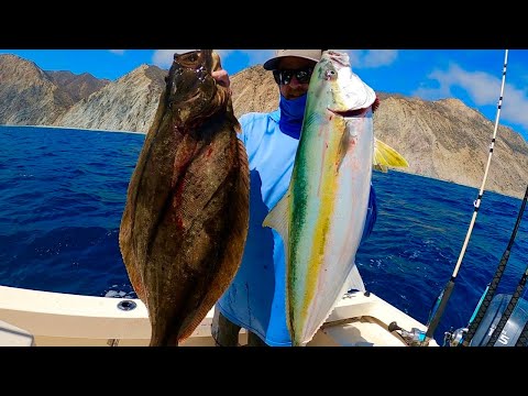 Catalina Island Yellowtail Fishing (Camping, Catch, Clean and Cook)