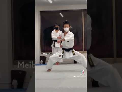 Shotokan karate. Shoto Meibukai. Enpi🔥✊　fantastic👯‍♀️🤠. #karate