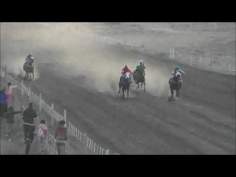 Club Hipico "Añelo"  15-05-2022  NEGRITO