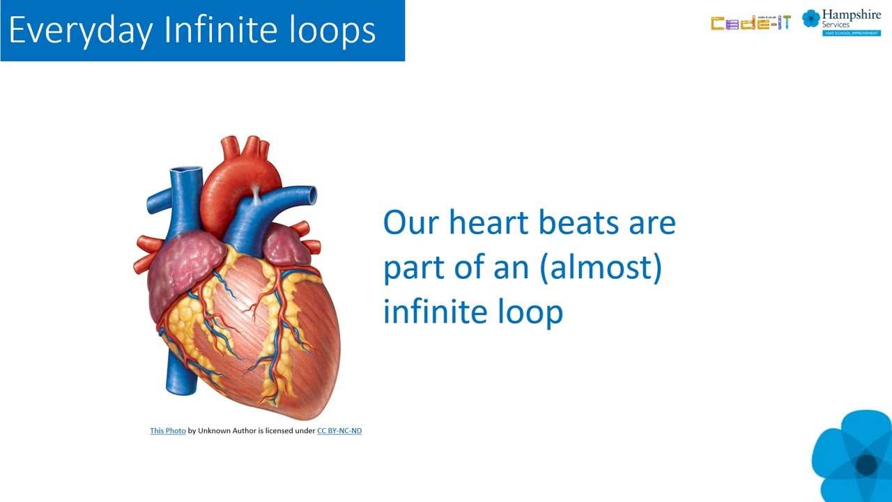 Understanding infinite loops in algorithm & code