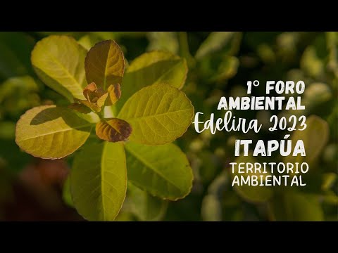 Foro Ambiental - Edelira 2023: "Itapúa Territorio Ambiental"