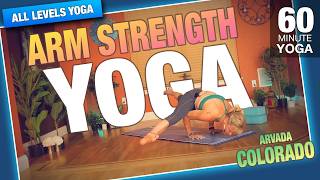 60 Minutes to Stronger Arms & Back - 60 Min of Yoga Joy - Five Parks Yoga with Erin Sampson