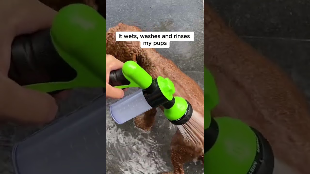 ¡Haz que los baños de verano sean un placer con Pup Shower! 🚿✨ #verano #calor