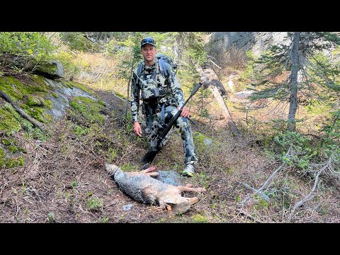 WOLVES OR COYOTES?! Idaho Wolf Hunt - Stuck N The Rut 208
