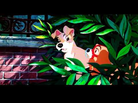 La belle et le clochard : Lady s'enfuit