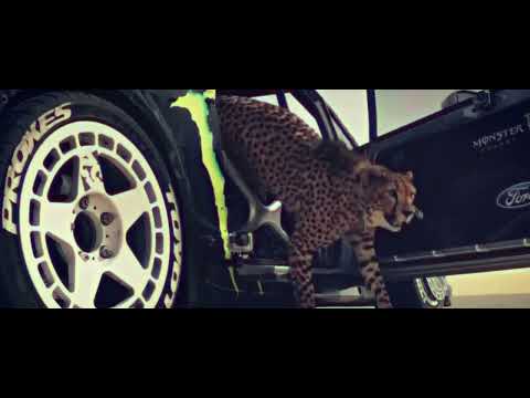 VALI$BEATS - ARABIC PHONK  (OFFICIAL VIDEO)