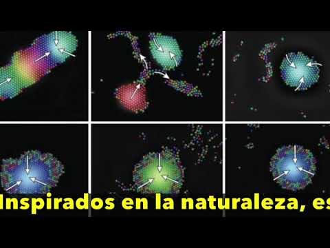 🤖🎵 Enjambres de microrrobots que hablan y se curan solos #tecnologia