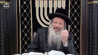 הרה"ג ר' שמעון שנייבלג שליט”א | דבר חינוך אקטואלי מהפרשה | פרשת ראה | אידיש