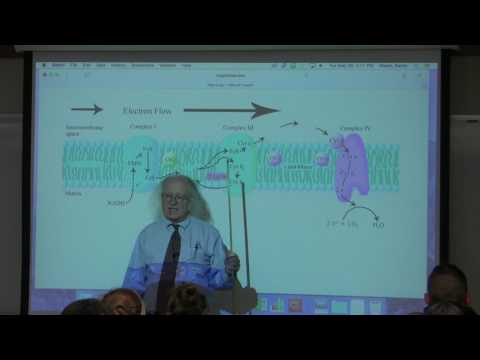 30. Ahern's BB 350 at Oregon State University - Respiratory Control