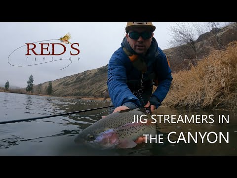 Winter Jig Streamer Fishing on ESN Setup