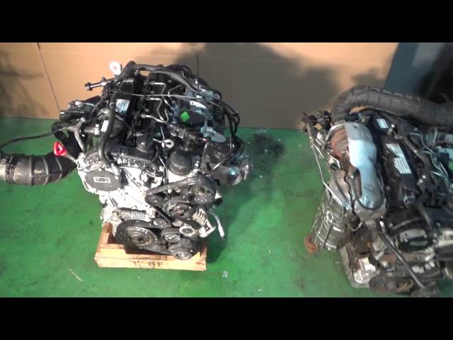 Раскраска Санг Енг