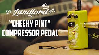 Video thumbnail for LANDLORD FX "Cheeky Pint" Compressor Pedal by GUITARGUITAR