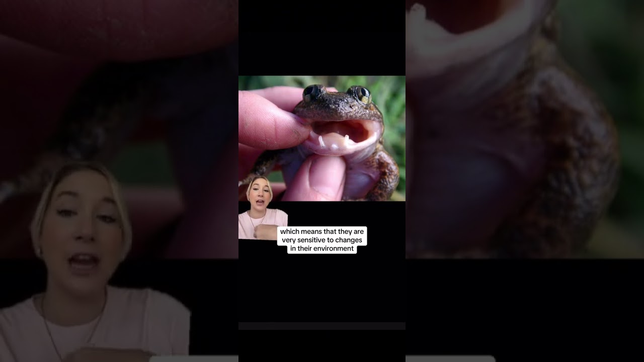 Do We Ever Discover New Animals? #shorts