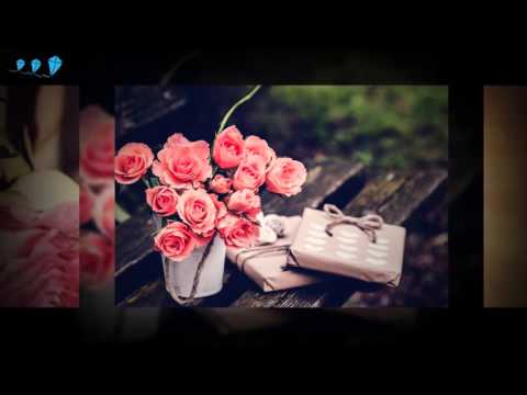 [Vietsub by F-zone ] J'ai Dans Le Coeur - Aude Gagnier - OST Le Petit Prince