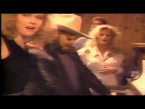 Hank Williams Jr   Young Country