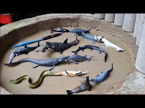 Dinossauros de Plástico Presos na Lama Mosassauro Megalodon Plesiossauro Elasmossauro Kronossauro