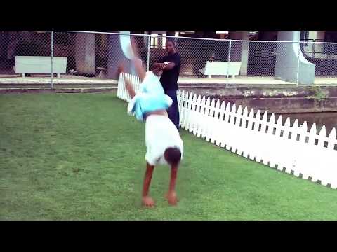 Hybrid Sector (Trinidad & Tobago)