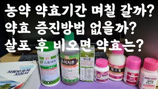 농약 약효기간 며칠 갈까? 