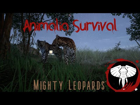 Mighty Leopards | Animalia Survival