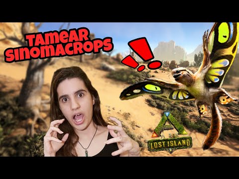 Ark Lost Island COMO TAMEAR SINOMACROPS AL COMIENZO Ark Survival Evolved en esp #ArkDinoLaVelociBlue