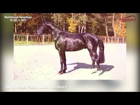 KN 14 v. Loriot - Excellent P