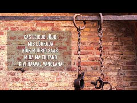 Timo Lige - Müürid