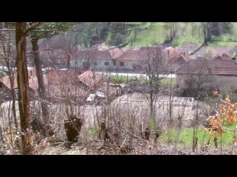 Zolt 2013 - imagini de început de primavară