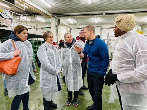 Geothermal Direct Use Study Tour, Iceland