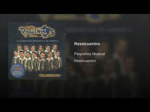 Reencuentro - Banda Pequeños Musical