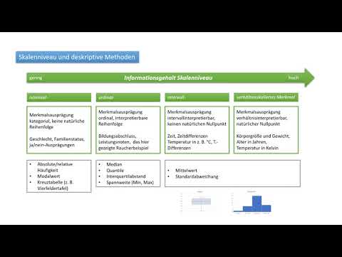 Merkmal und Skalenniveau