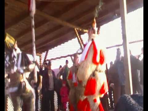 malanca lui mugur ciocan  2009 Mihoveni