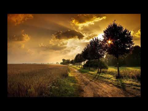 Einsigartig - Reise ohne Ankunft