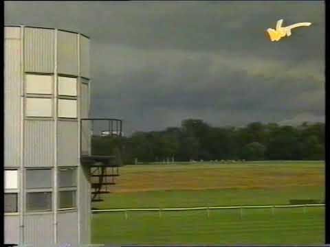 Gepard-Derby Arabskie