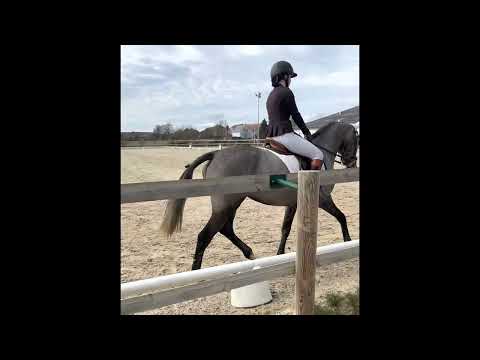 2022-02-18 Dressage Chèvremont Club 2 GP