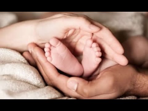 Cili është mëkati i prindërve me fëmijët? - Dr. Imam Ahmed Kalaja