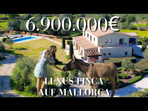Luxus Finca Mallorca mit Pool und Eseln Rossitza Hantelmann