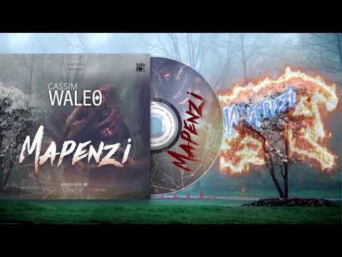 Cassim Waleo-Mapenzi (Official Audio)
