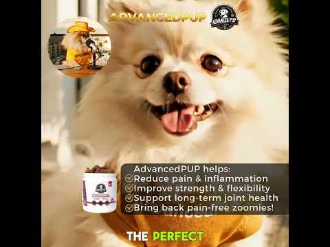 Dog hesitating on stairs — before and after joint supplement