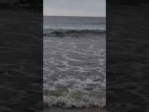 #shorts #youtubeshorts #beach #youtube #beach