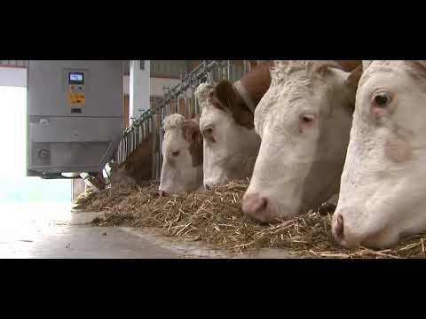 GEA Farm Technologies take your farm to the next level 💪🐄