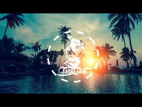 DJ Shark - Fyah (Feat. Naza Brothers - Mr Shammi)