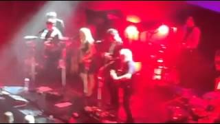 The Common Linnets - Better than that