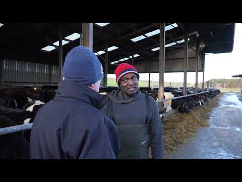 Farm workers Available - Nationwide - Image 2