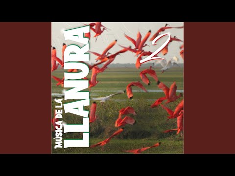 Aquel Cuatro De Febrero