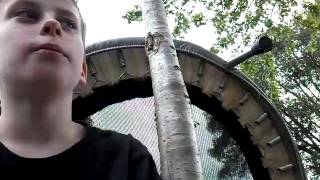 Hit by a football. Fall out a tree.