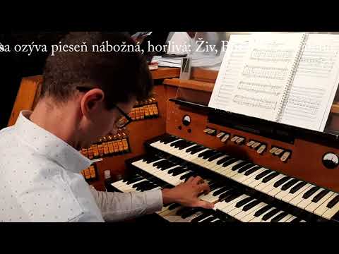 JKS 523 - V sedmobrežnom kruhu Ríma (Dóm sv. Alžbety)